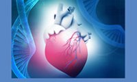 Telomer Uzunluğu ve Kalp Hastalıkları
