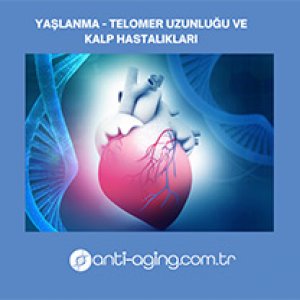 Telomer Uzunluğu ve Kalp Hastalıkları