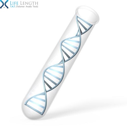 Life Length Telomer Analiz Testi - Genetik Testler
